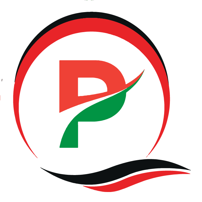 palace tempo logo 01